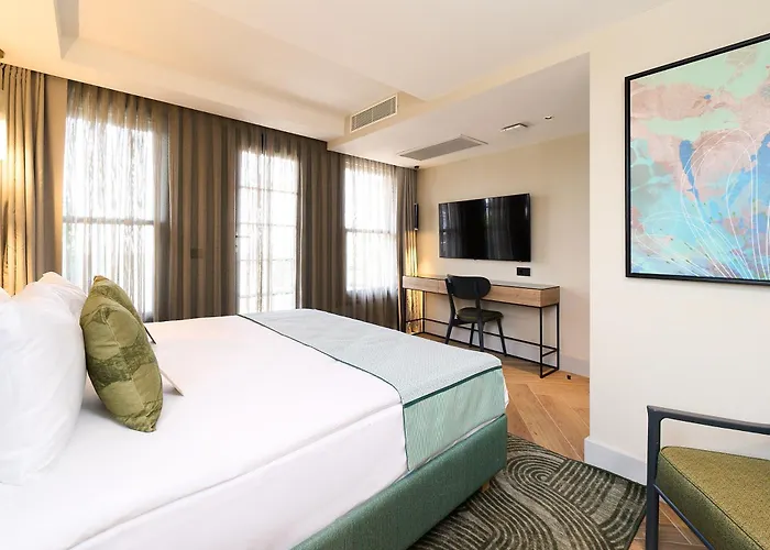 Отель The Wings Pera 4*