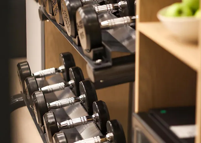 Отель The Wings Pera