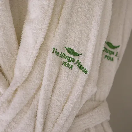 The Wings Pera Hotel *